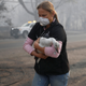 Image for article titled Photos: The lost animals of California’s destructive wildfires